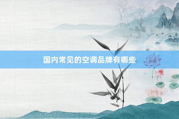 国内常见的空调品牌有哪些
